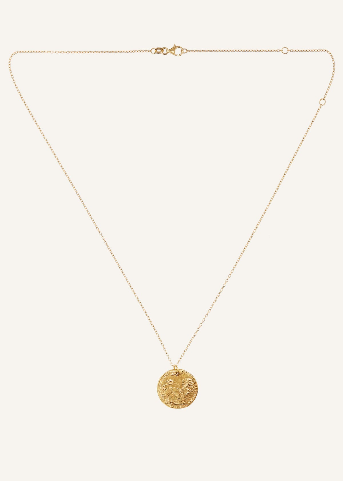 ME+EM Accessories Gold Medium Leone Necklace